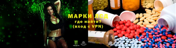 шишки Кодинск