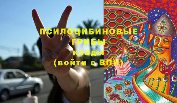 ПСИЛОЦИБИНОВЫЕ ГРИБЫ Киреевск