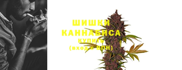 ПСИЛОЦИБИНОВЫЕ ГРИБЫ Киреевск