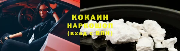 шишки Кодинск
