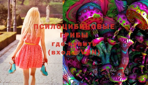 ПСИЛОЦИБИНОВЫЕ ГРИБЫ Киреевск